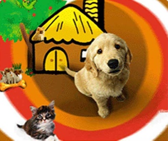 北京金凱利寵物樂(lè)園 公司網(wǎng)站設(shè)計(jì)（保密）